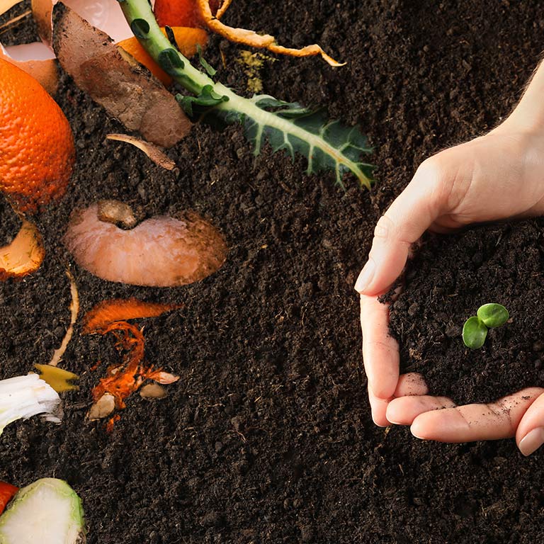 Biyobozunur Atık Yönetimi Projesi